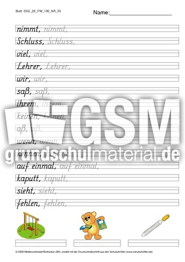DSS_2S_FW_100_NR_53.pdf